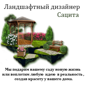 Ландшафтный дизайнер Сацита